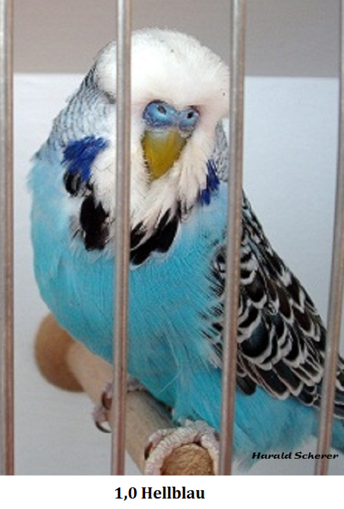 2010 022.png